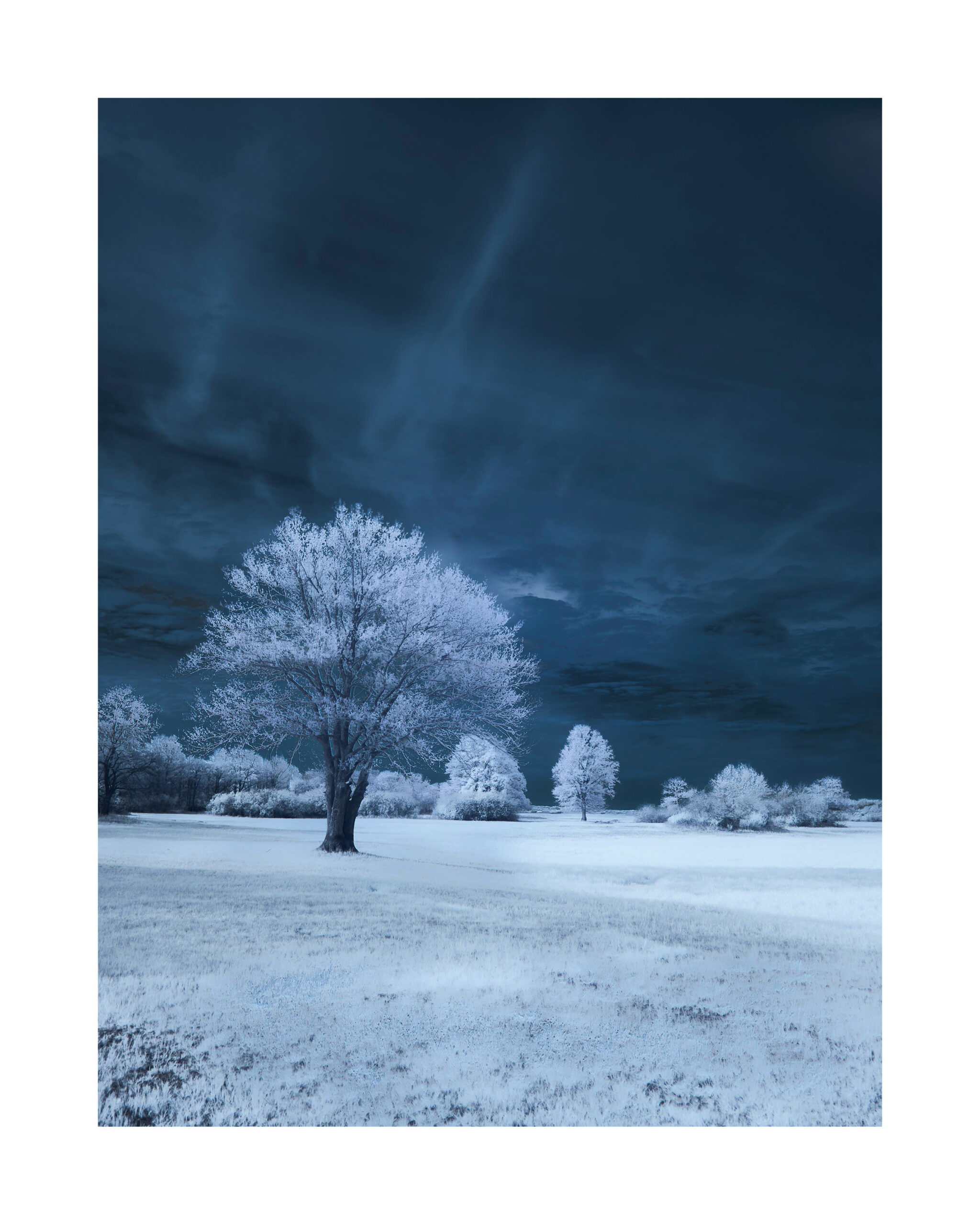 FAD - Art Gallery Canvas Print