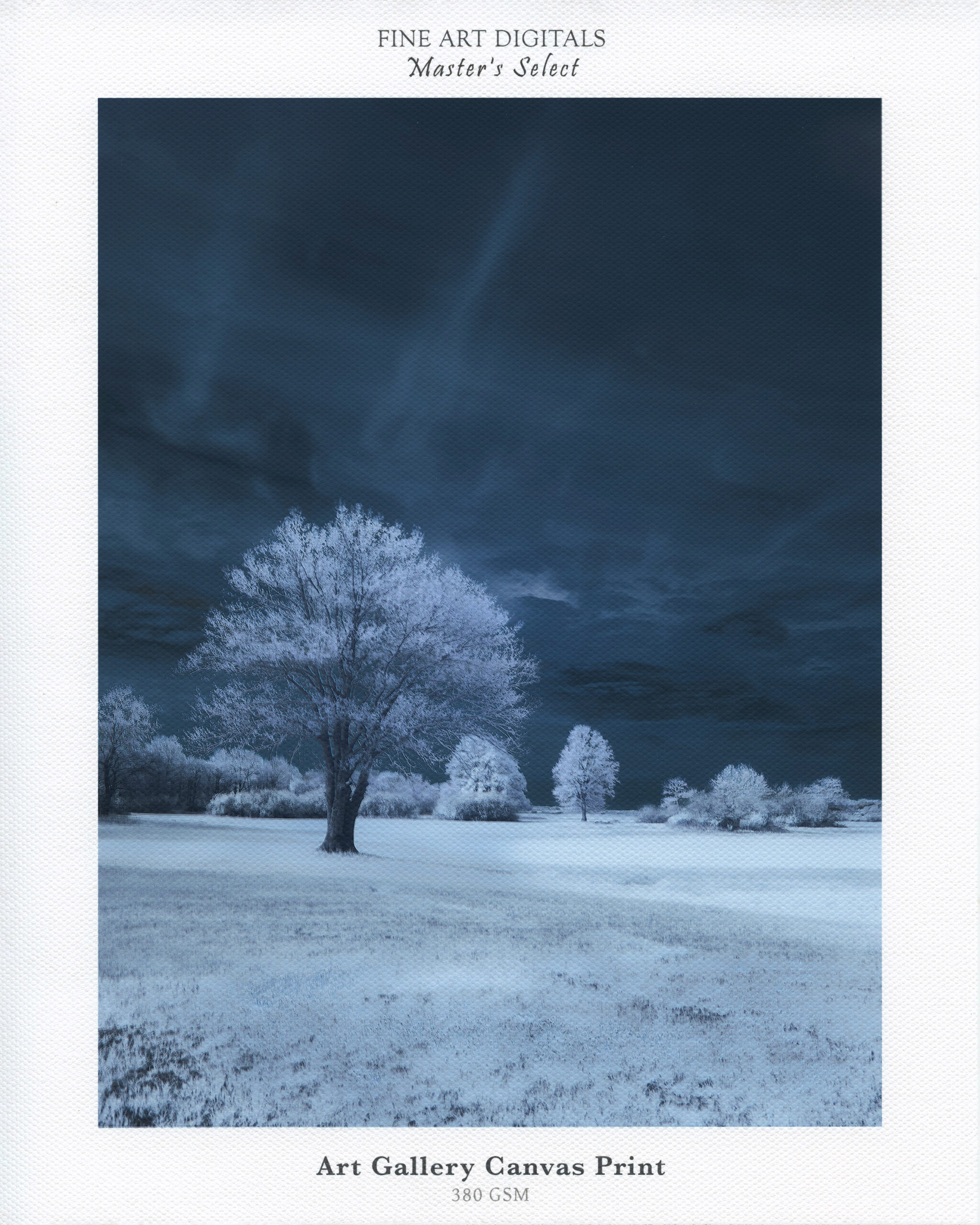 FAD - Art Gallery Canvas Print