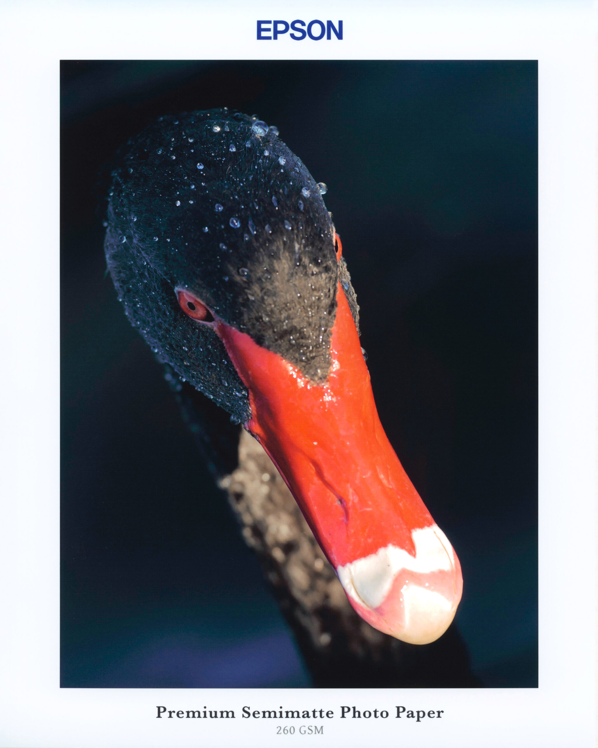 Epson - Premium Semimatte Photo Paper