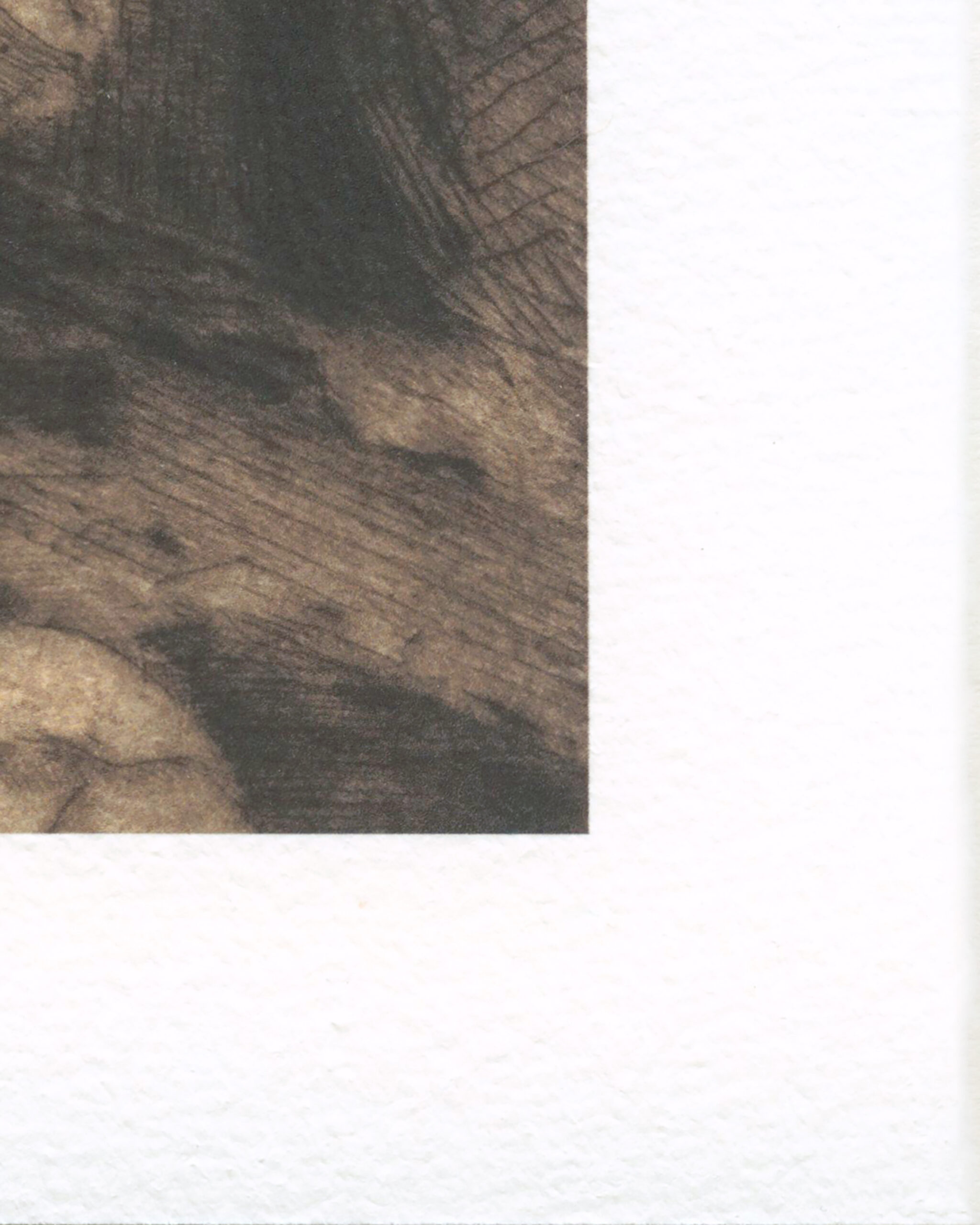 Hahnemuhle - German Etching