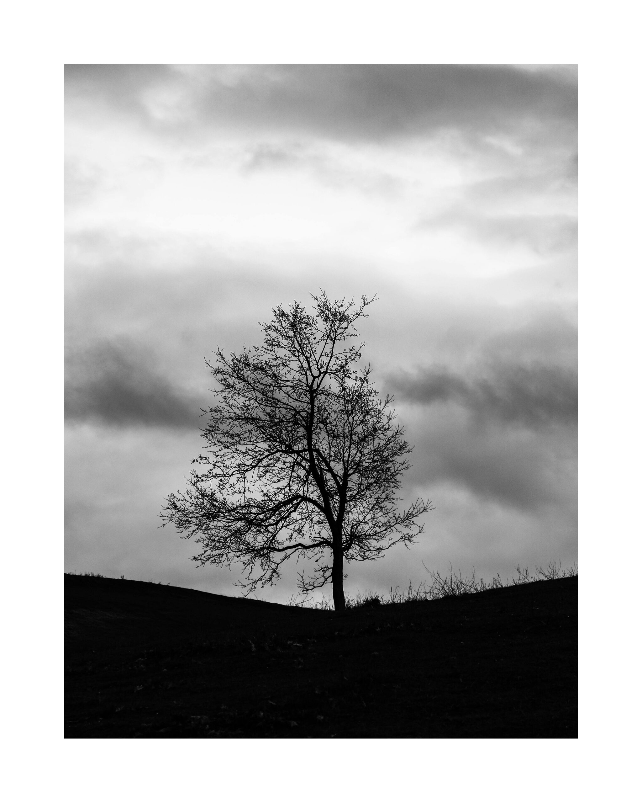 Hahnemuhle - Photo Rag