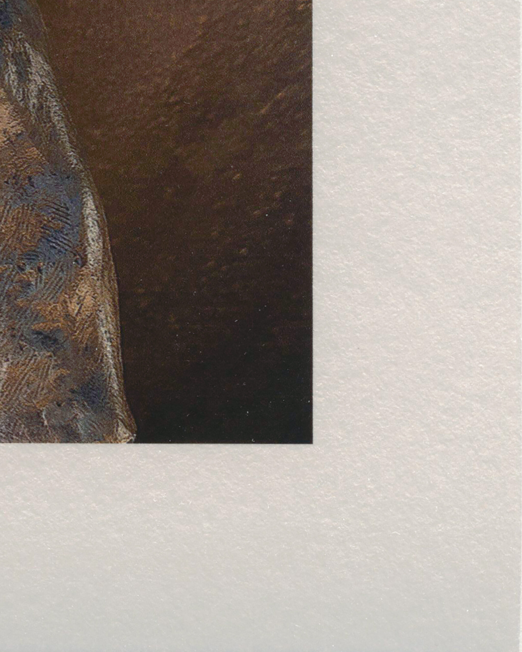 Hahnemuhle - Photo Rag Metallic