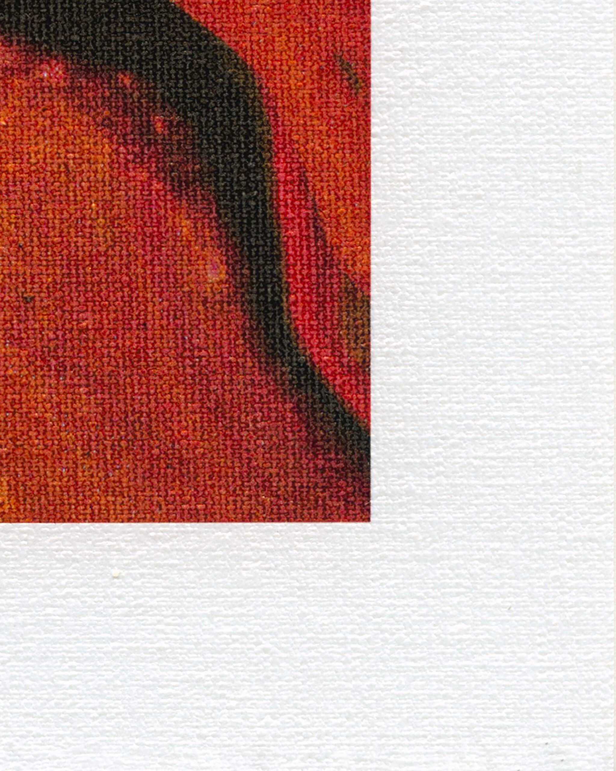 Hahnemuhle - Canvas Metallic