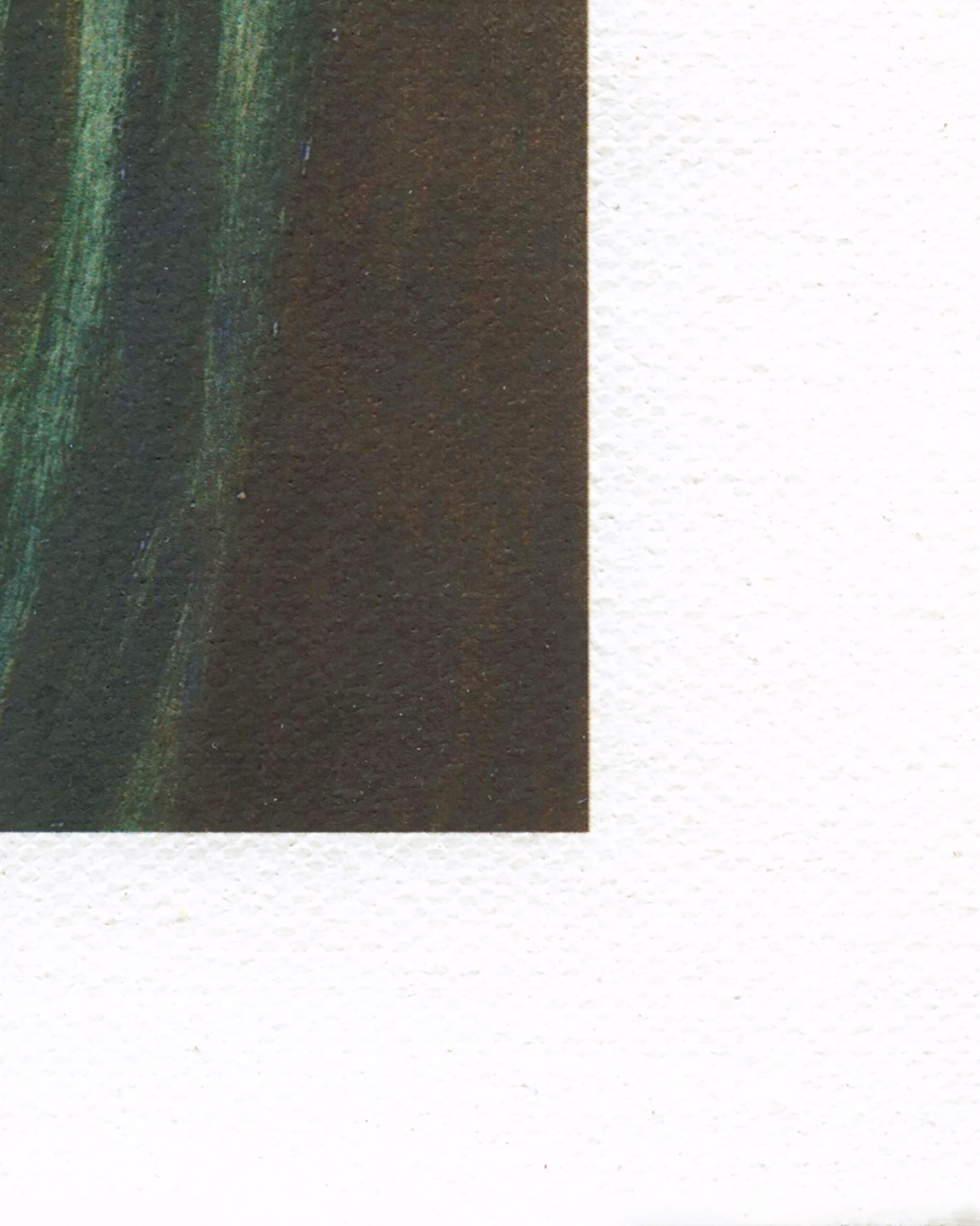 Hahnemuhle - Canvas Artist